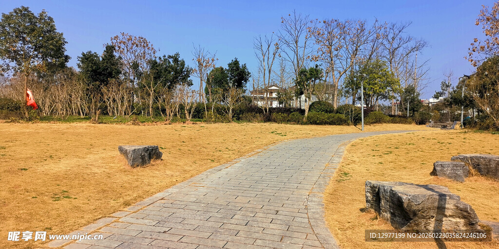 冬日公园小路旁的静态景致