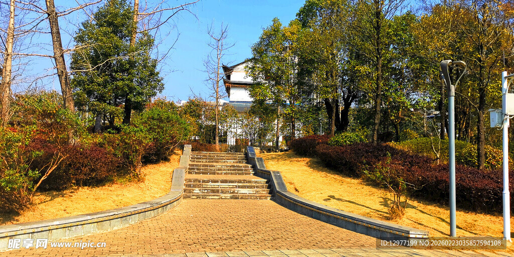 秋日山林中的石阶步道