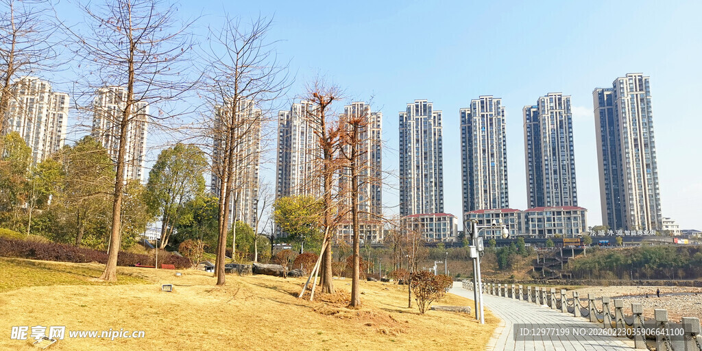 城市公园旁的高楼景观