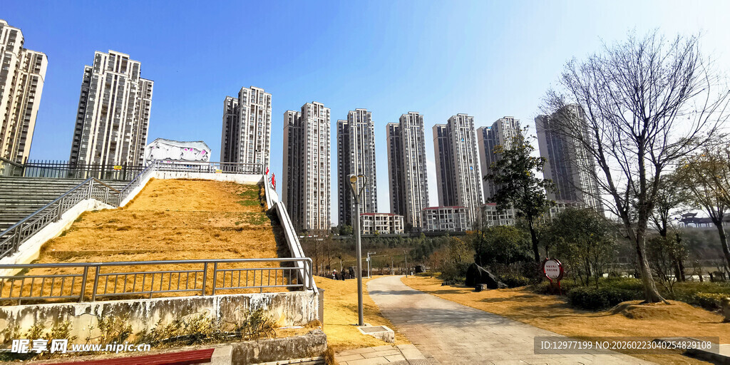 城市住宅区的冬日景致