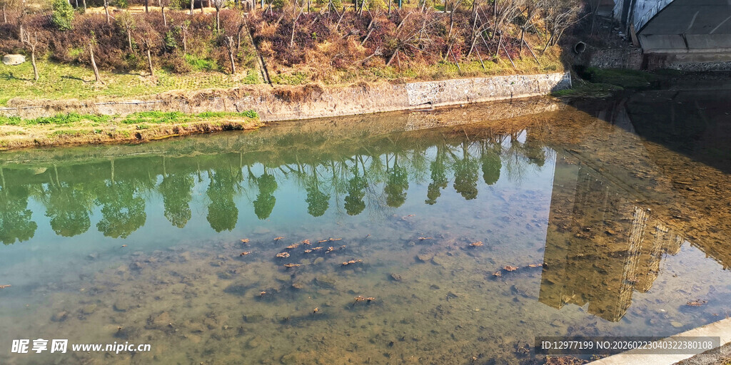 平静水面倒映岸边景致