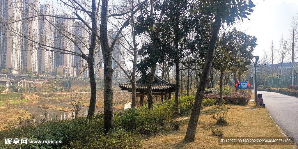 城市公园中的静谧景致