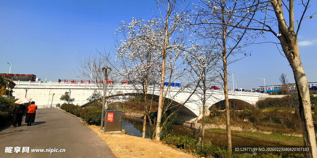 冬日户外道路与行人景观
