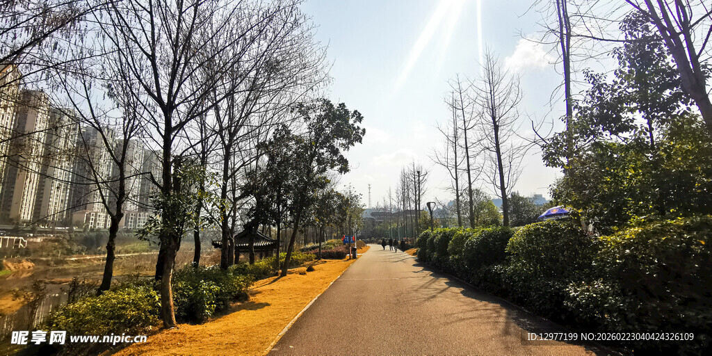 城市林间小道风景