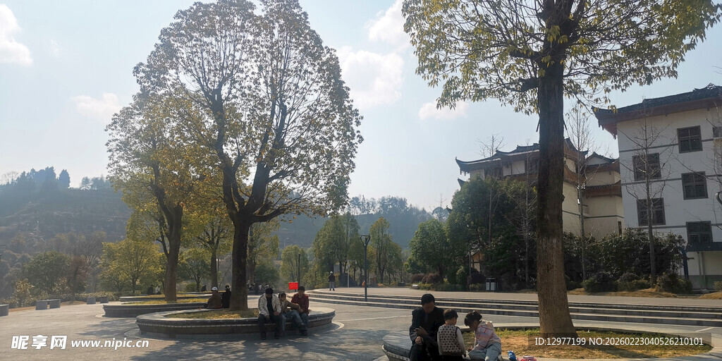 乡村路旁秋景 静谧美好