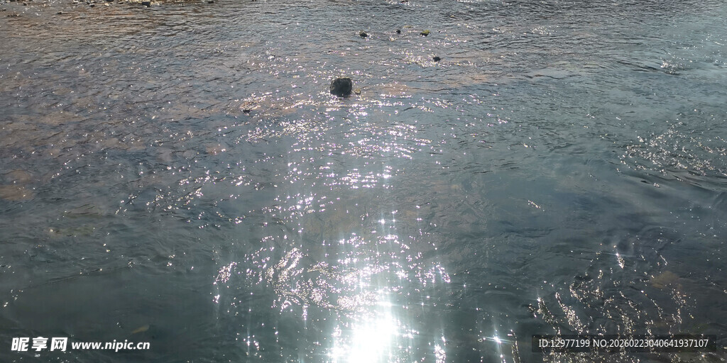 清澈水面 泛起粼粼波光