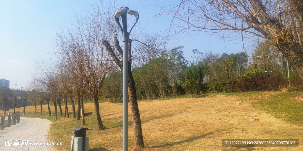 冬日公园路旁的萧瑟景致