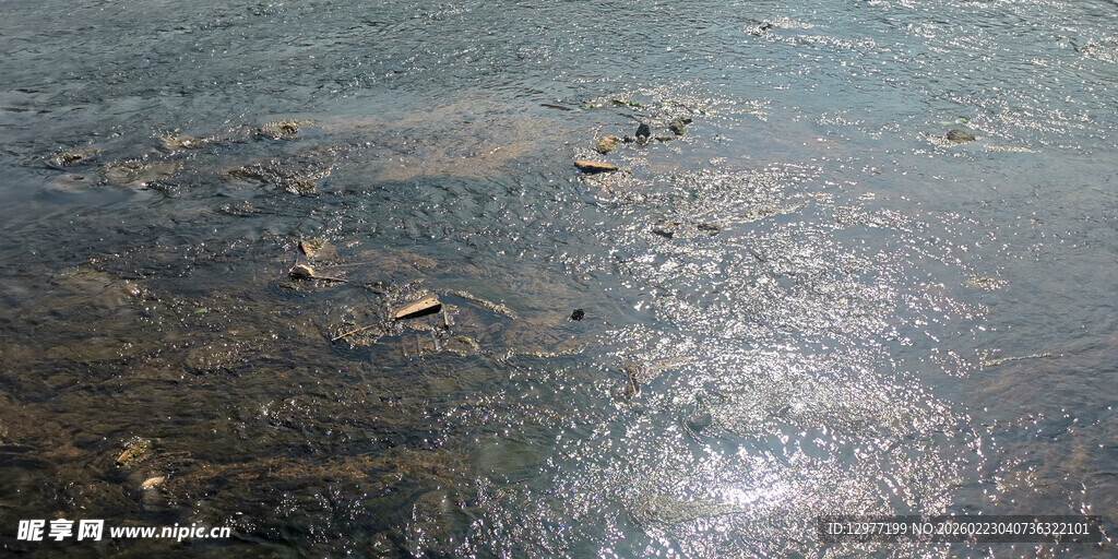 水面漂浮物场景