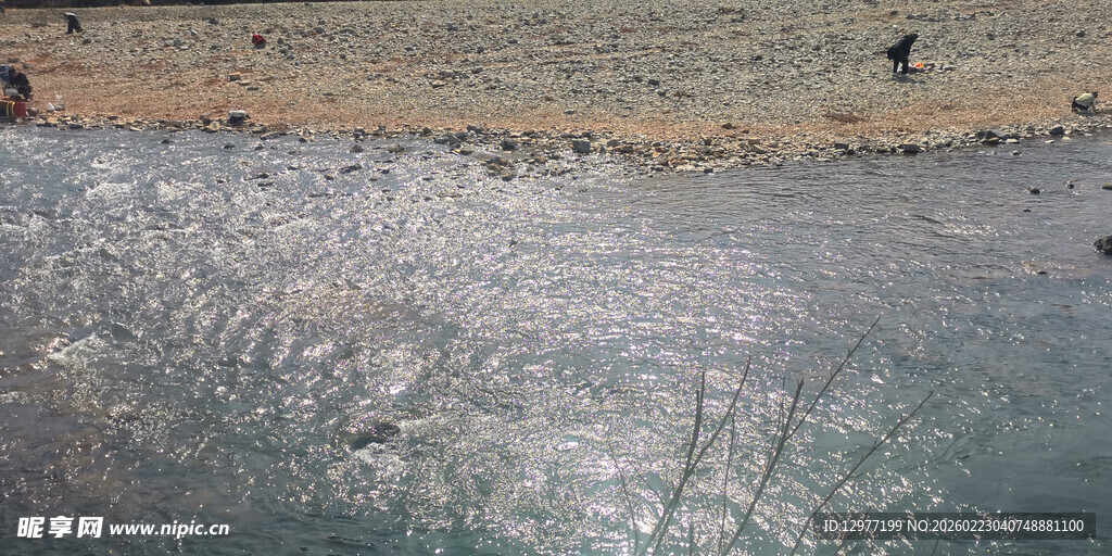 波光粼粼的水面与岸边