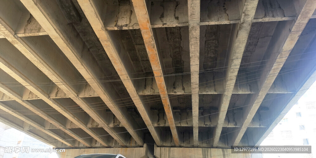 仰视木质水泥结构桥梁屋顶