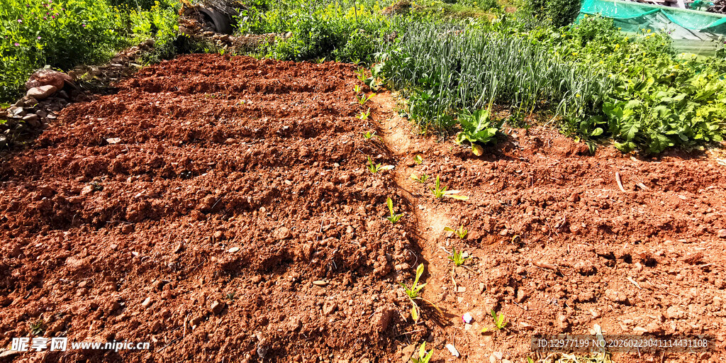 翻耕后的菜园土壤景观