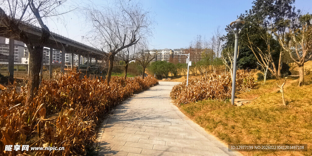 冬日园林小径风景