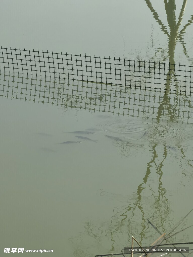 水面上的网状物及倒影