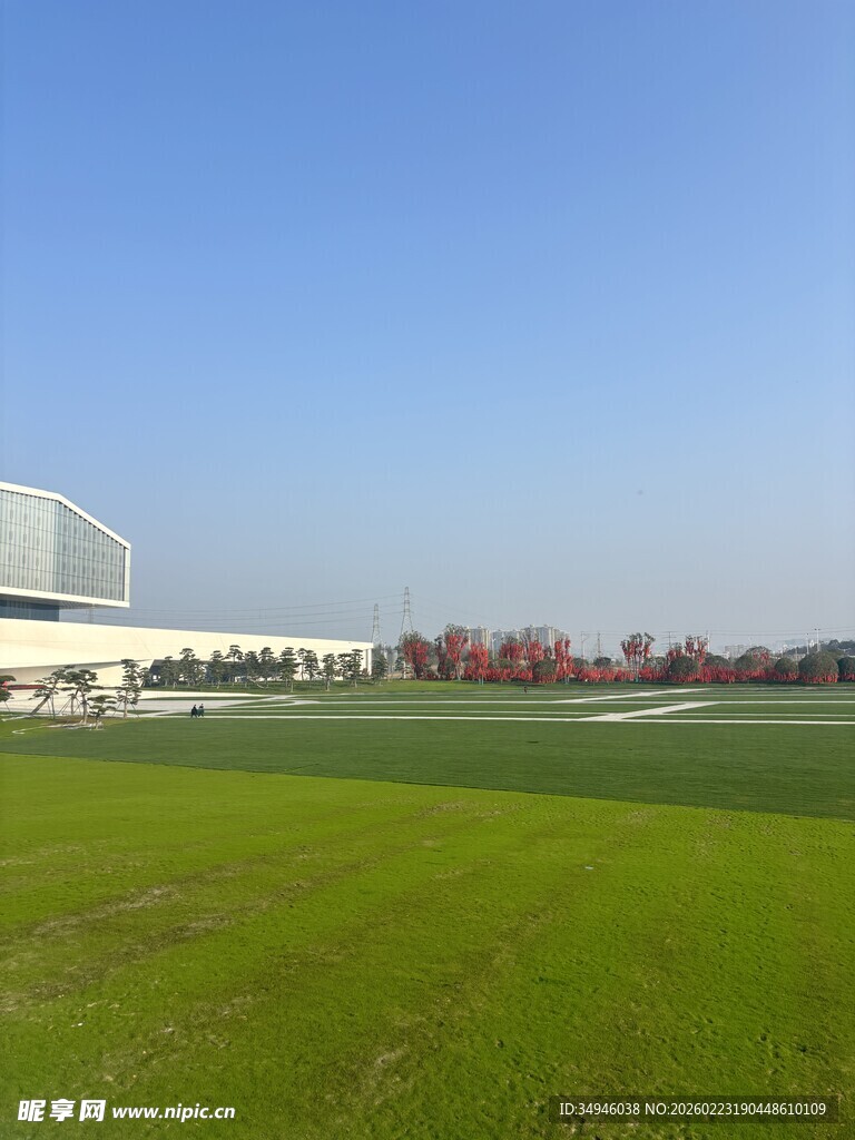 户外绿地旁的现代建筑景观