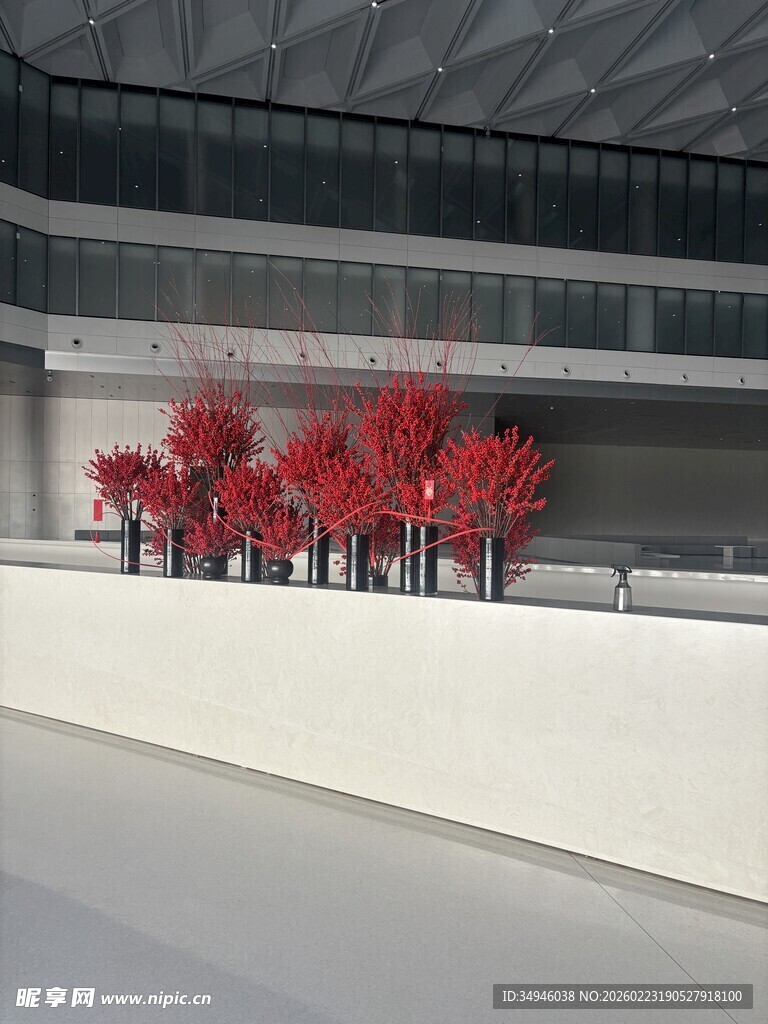 现代建筑前的艳丽红树