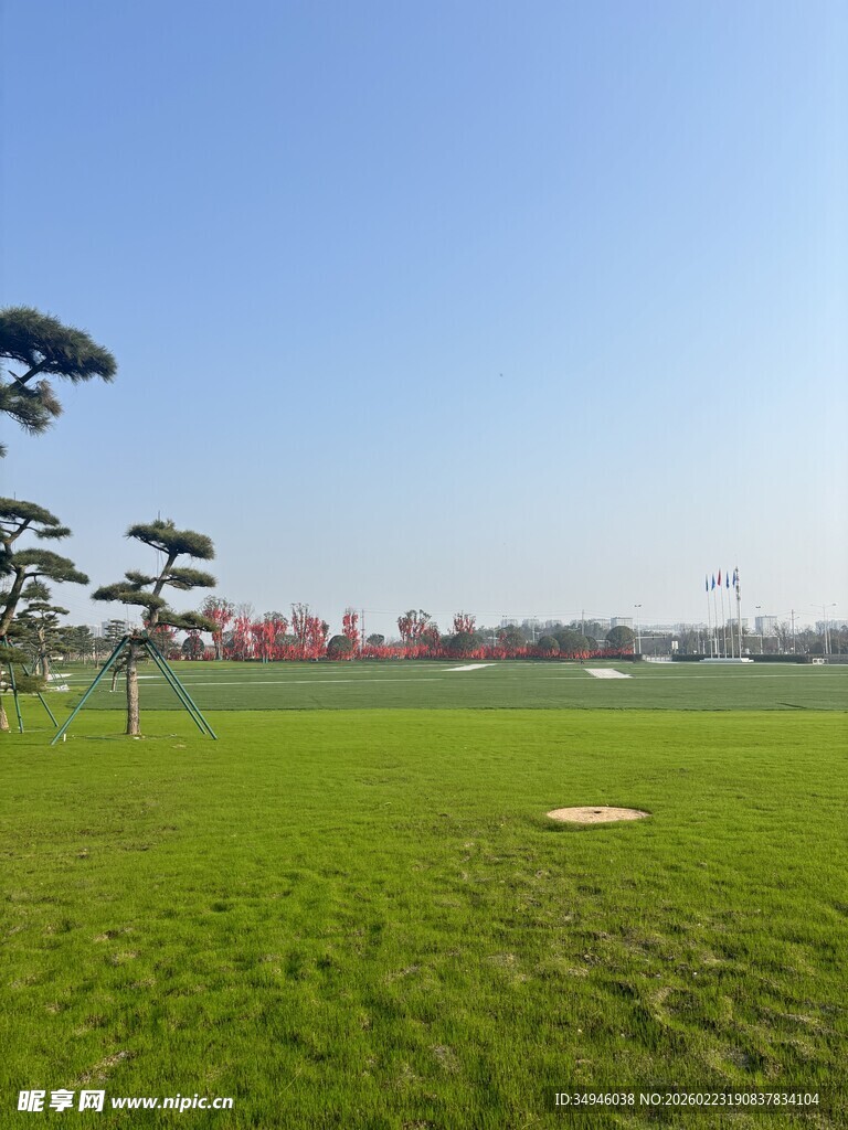 绿意盎然的开阔户外草坪