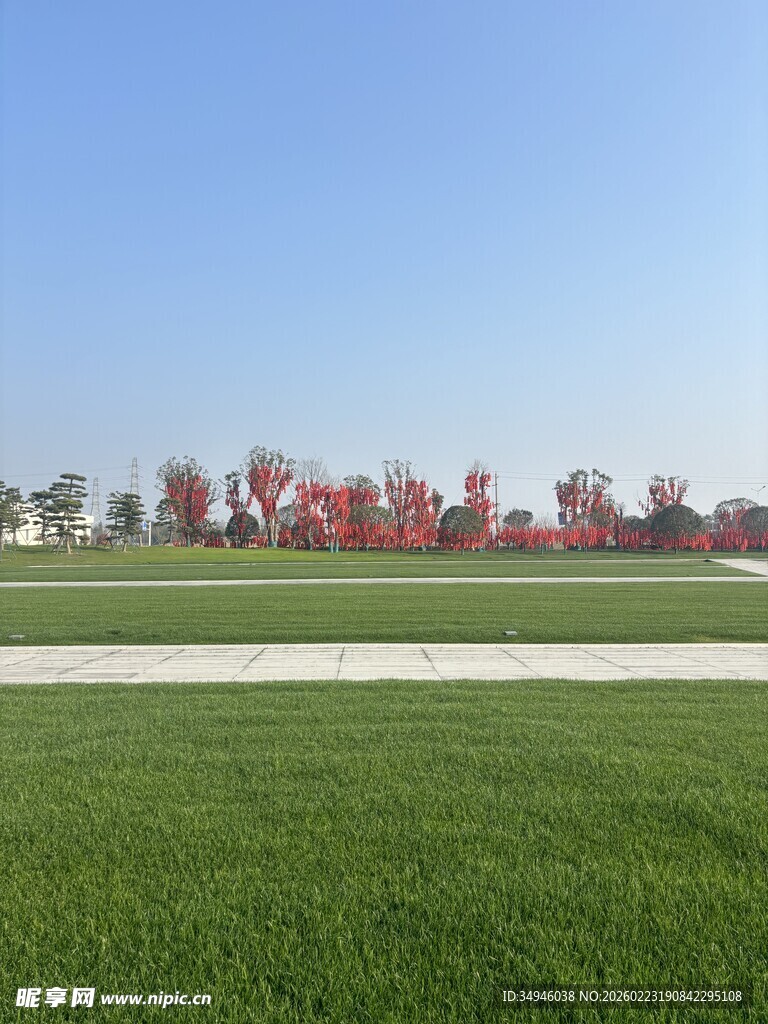 广阔绿草地与远处红叶树