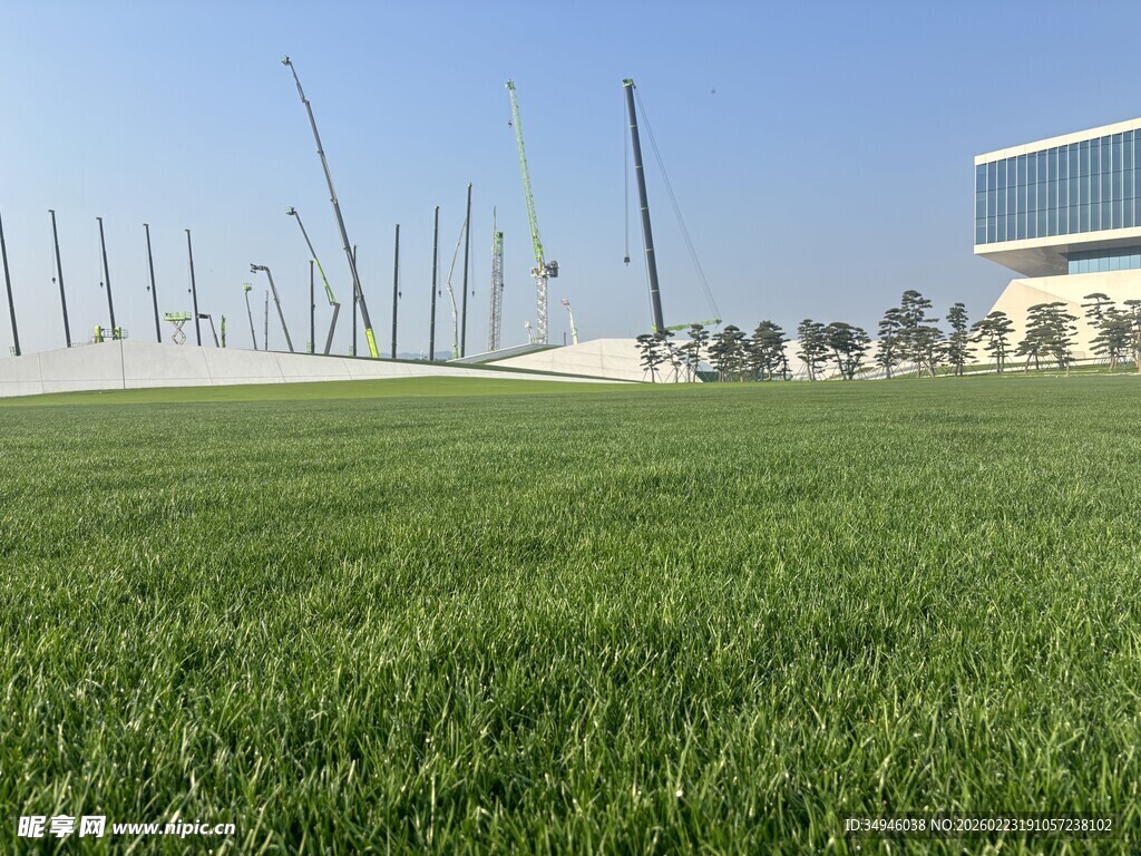 宽阔绿茵场与远处建筑