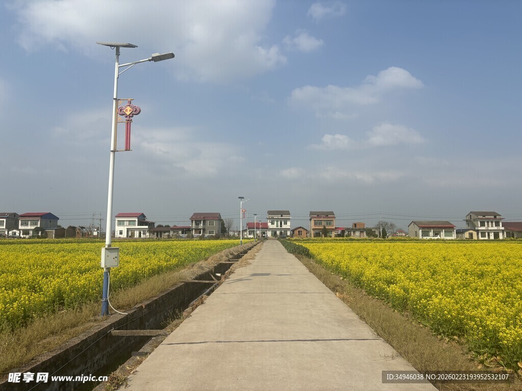 乡间油菜花田旁的小路