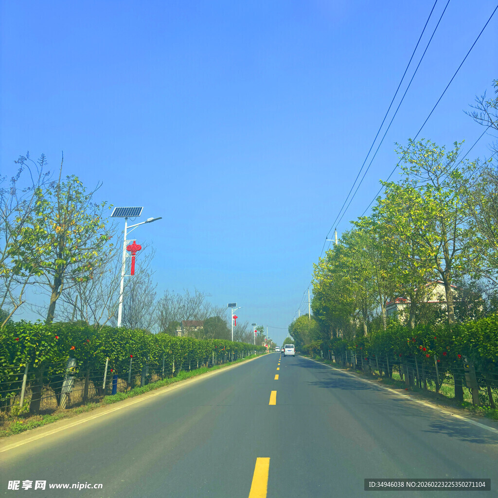宽阔公路旁绿树蓝天相伴