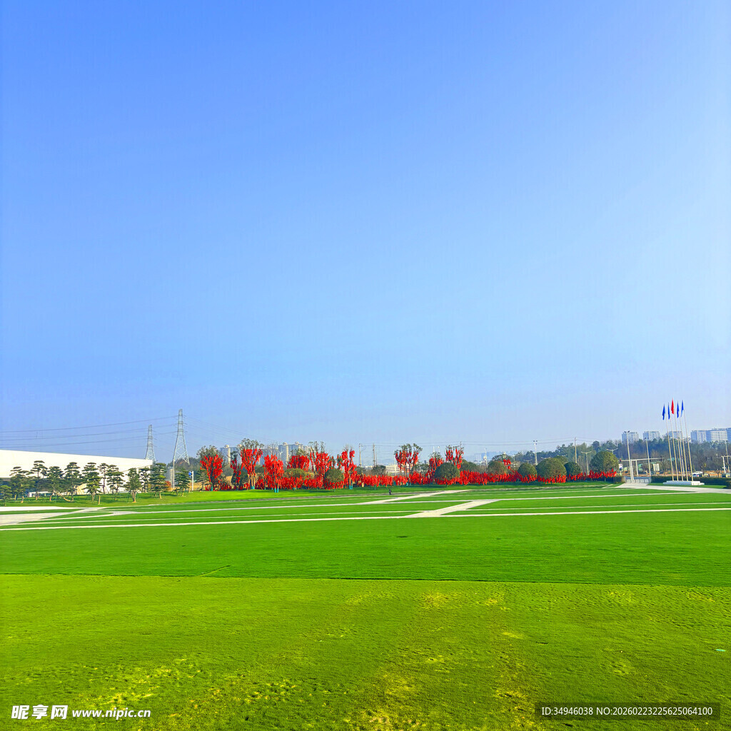 广阔绿草地与远处红树景观