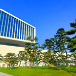 现代建筑旁的葱郁绿植