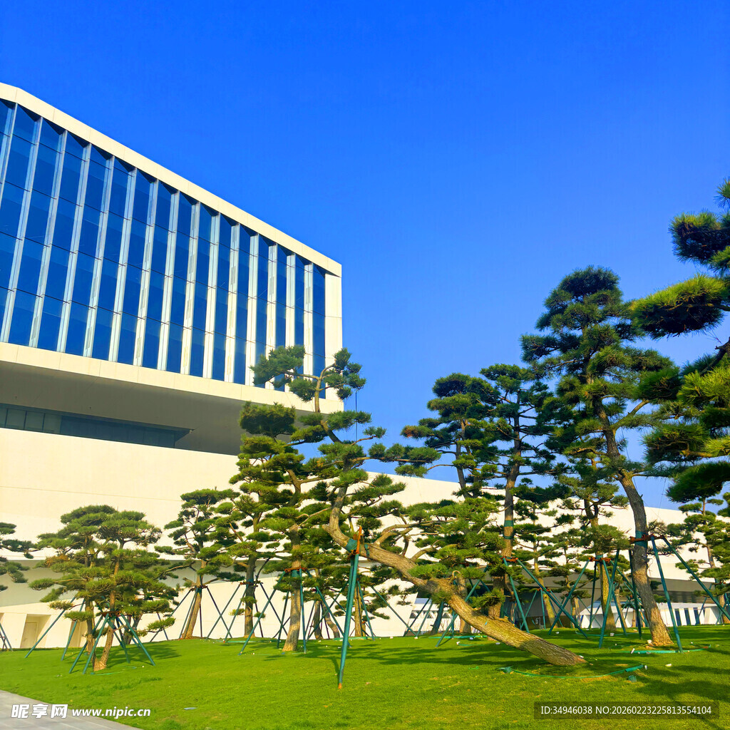 现代建筑旁的葱郁绿植