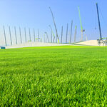 翠绿草坪与远处林立设施