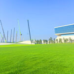 绿茵场地与现代建筑景观