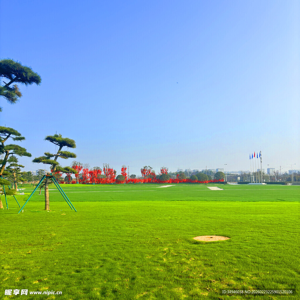 翠绿草坪上的高尔夫景观