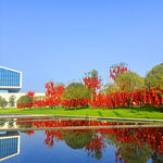 湖畔红树映蓝天美景