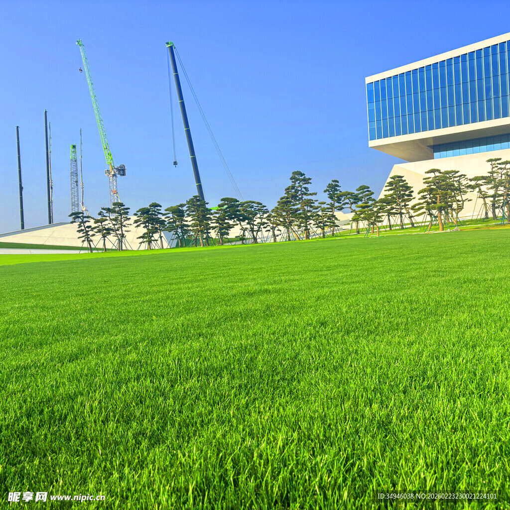 城市中翠绿草坪与现代建筑