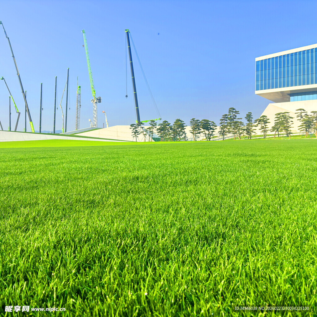 城市中的翠绿开阔草坪
