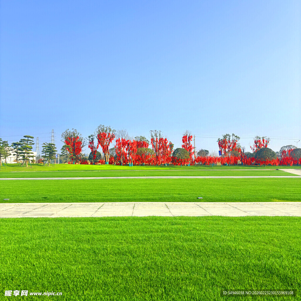 春日绿地旁的绚烂红树