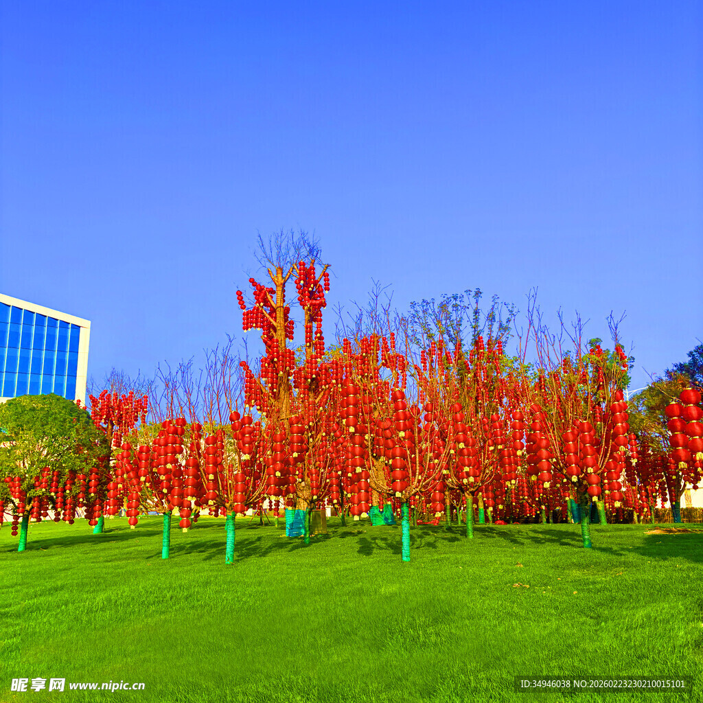 秋日红树映绿地蓝天