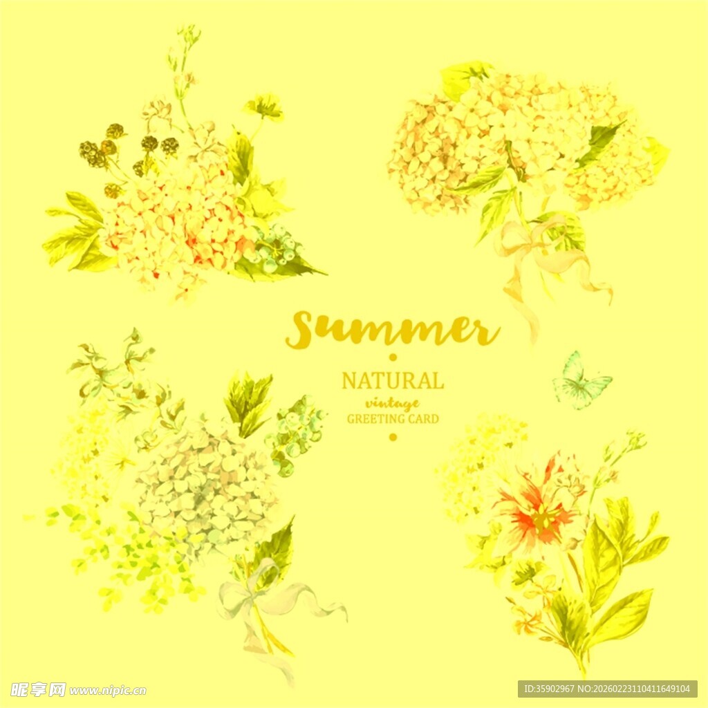 夏日清新花卉插画