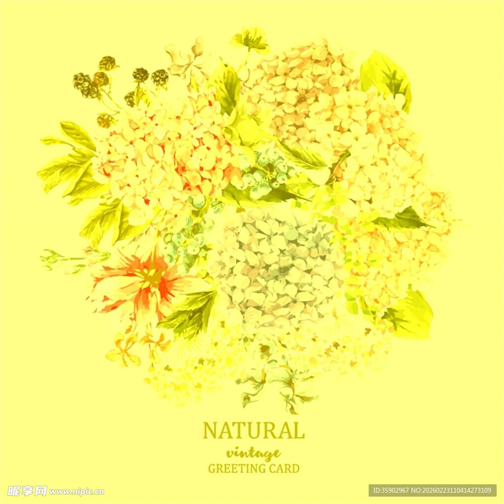黄色花卉插画自然清新风