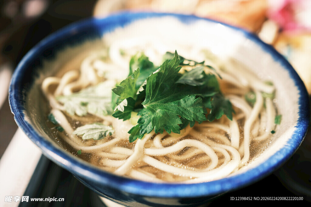 美味香菜面条特写