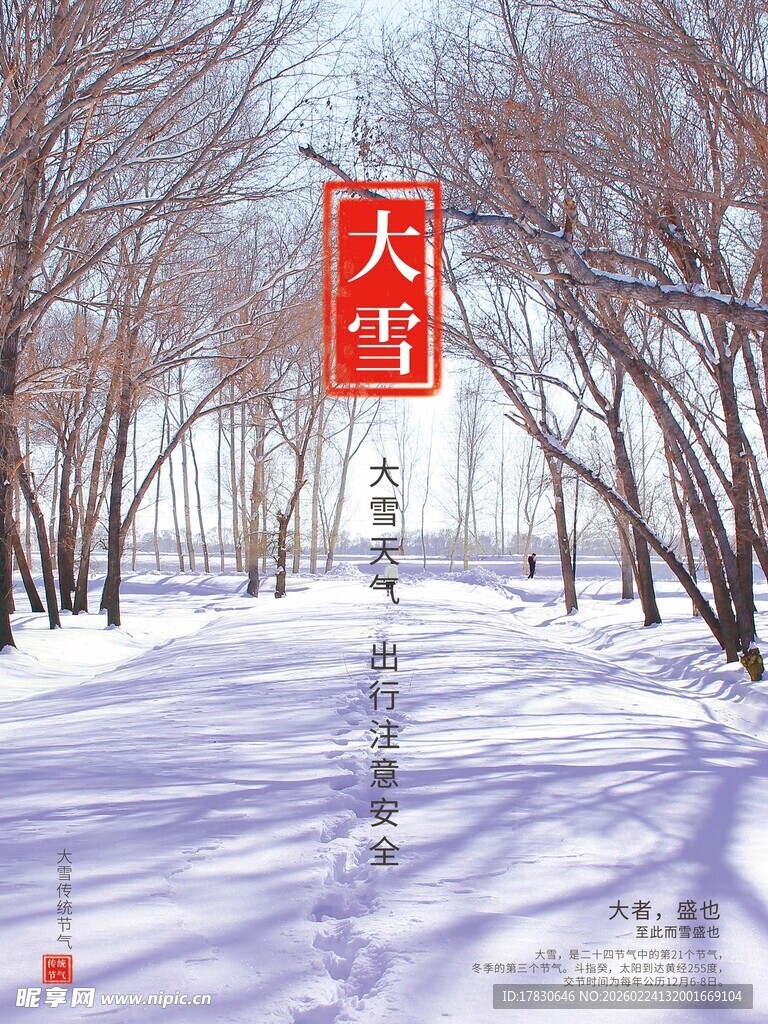 大雪海报