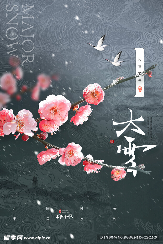 大雪海报