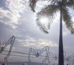 阳光下的棕榈树与艺术装置