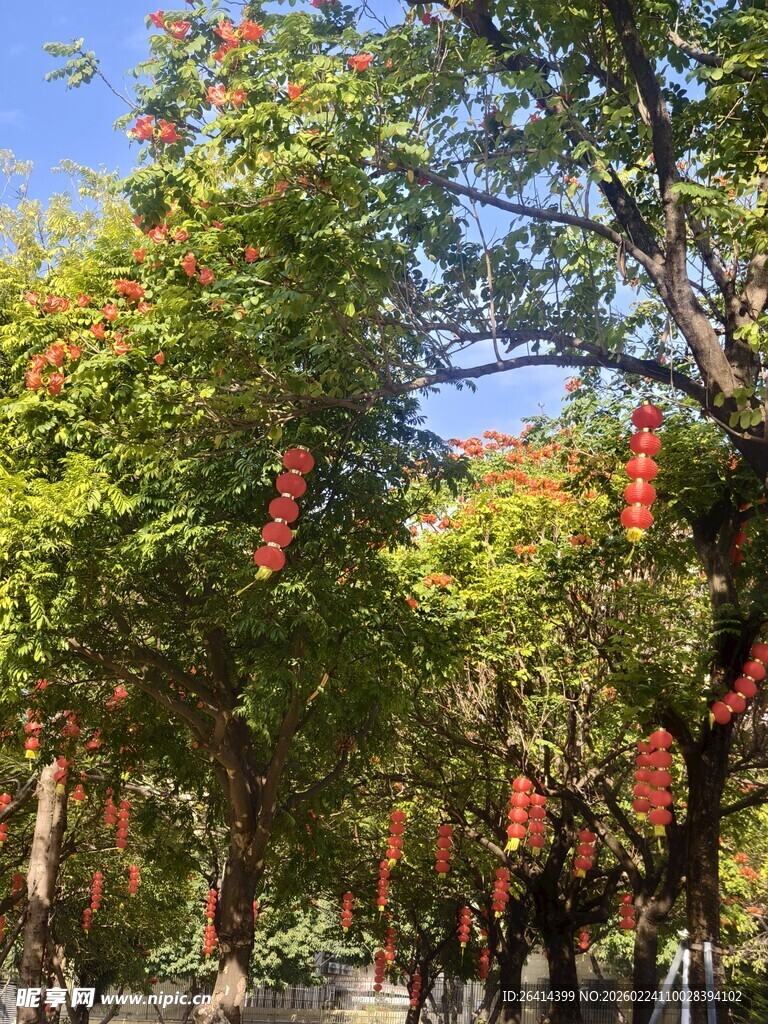 绿树间的红色祈福牌