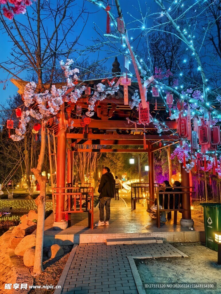 夜晚梦幻彩灯装饰的场景