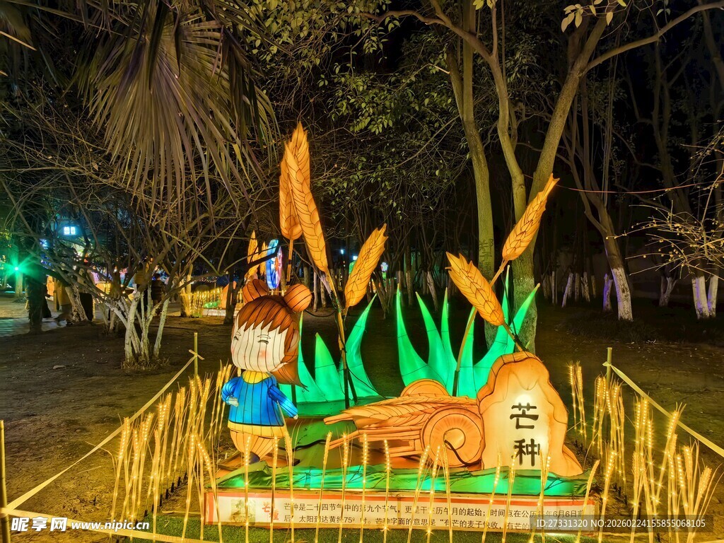 夜间公园中的创意彩灯造型