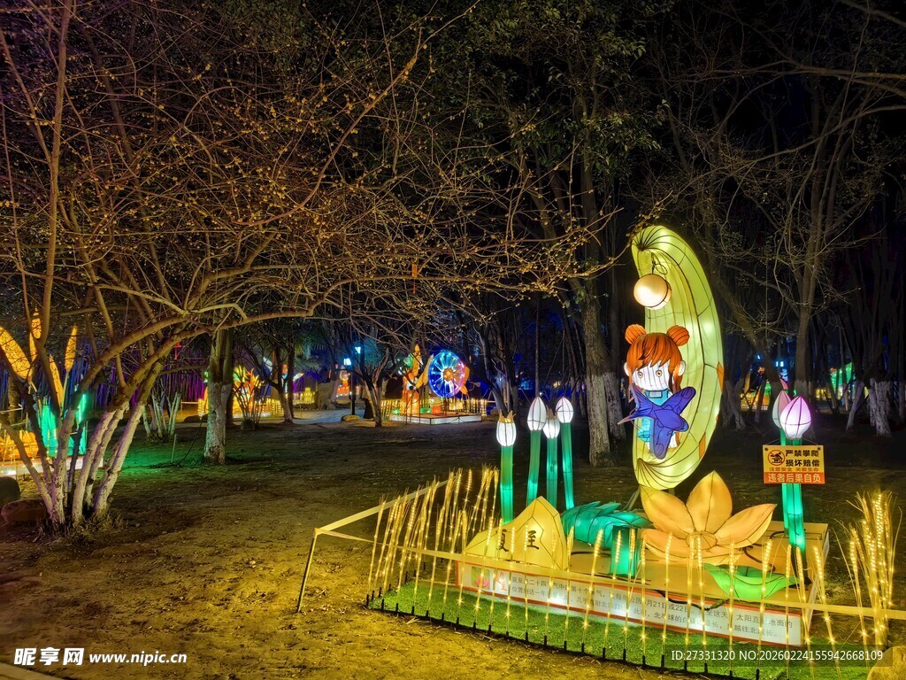 夜晚梦幻花灯景观