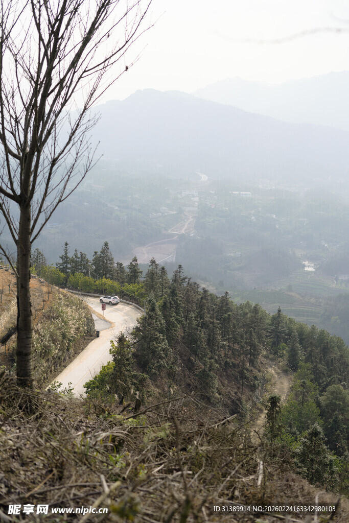 山间蜿蜒公路与萧瑟树木