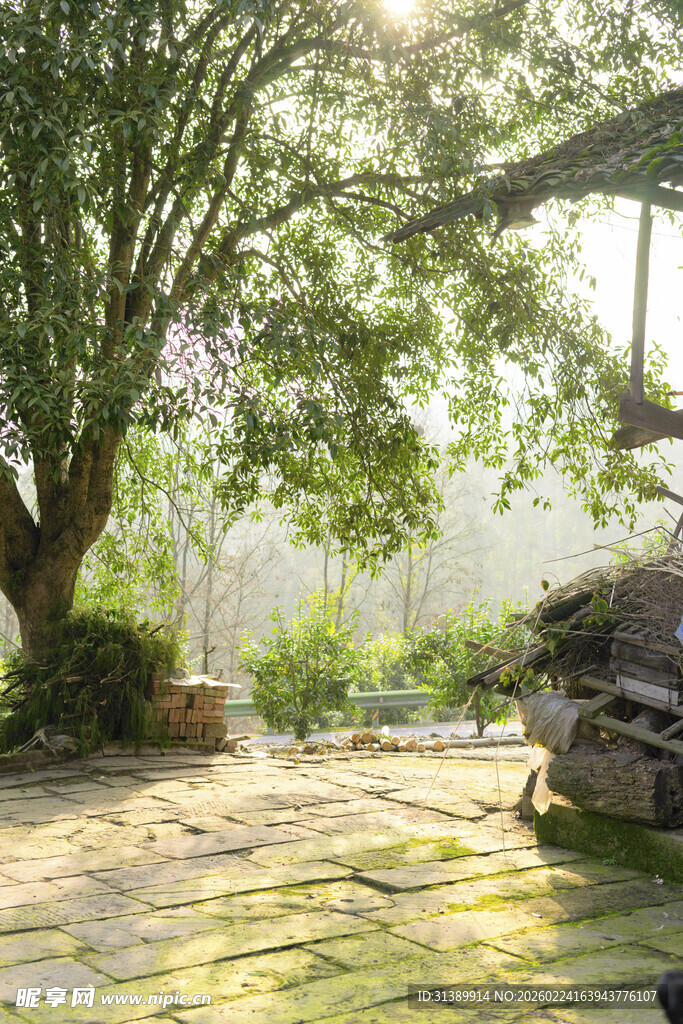 阳光洒落的静谧庭院角落