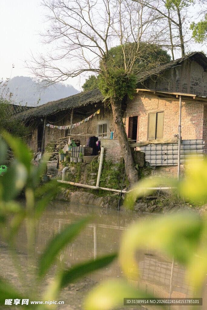 乡村老旧房屋及周边景致