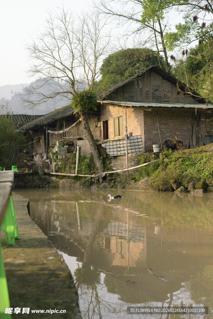 乡村水边古朴民居景象