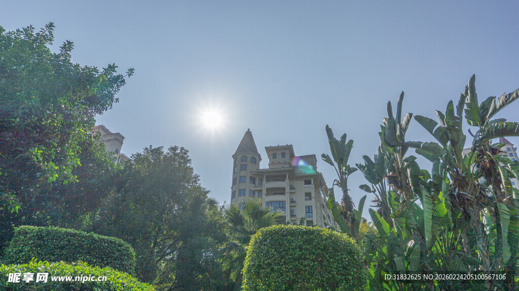 阳光下的绿植与建筑景观